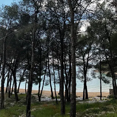 D-view Premium Mobile - Panoramic Seaview - 150 M From Beach, Free Parking Διαμέρισμα *