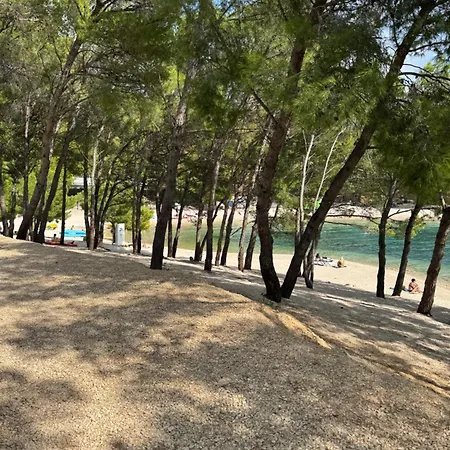 Apartament D-view Premium Mobile - Panoramic Seaview - 150 M From Beach, Free Parking *